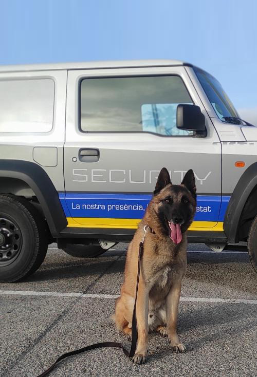 Unidad K9